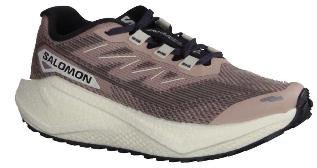 Laufschuhe Salomon Aero Blaze 3 GRVL für Damen