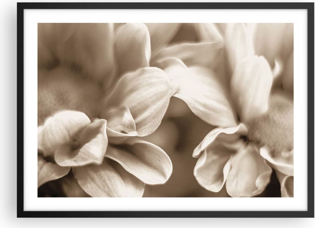 Gerahmtes Poster - Schwarzer Rahmen - Blumen Boho ohne - 70x50 cm - Wand Bild - Wanddeko - Wandbilder - Kunstposter - Wandposter - Bilderrahmen - B...