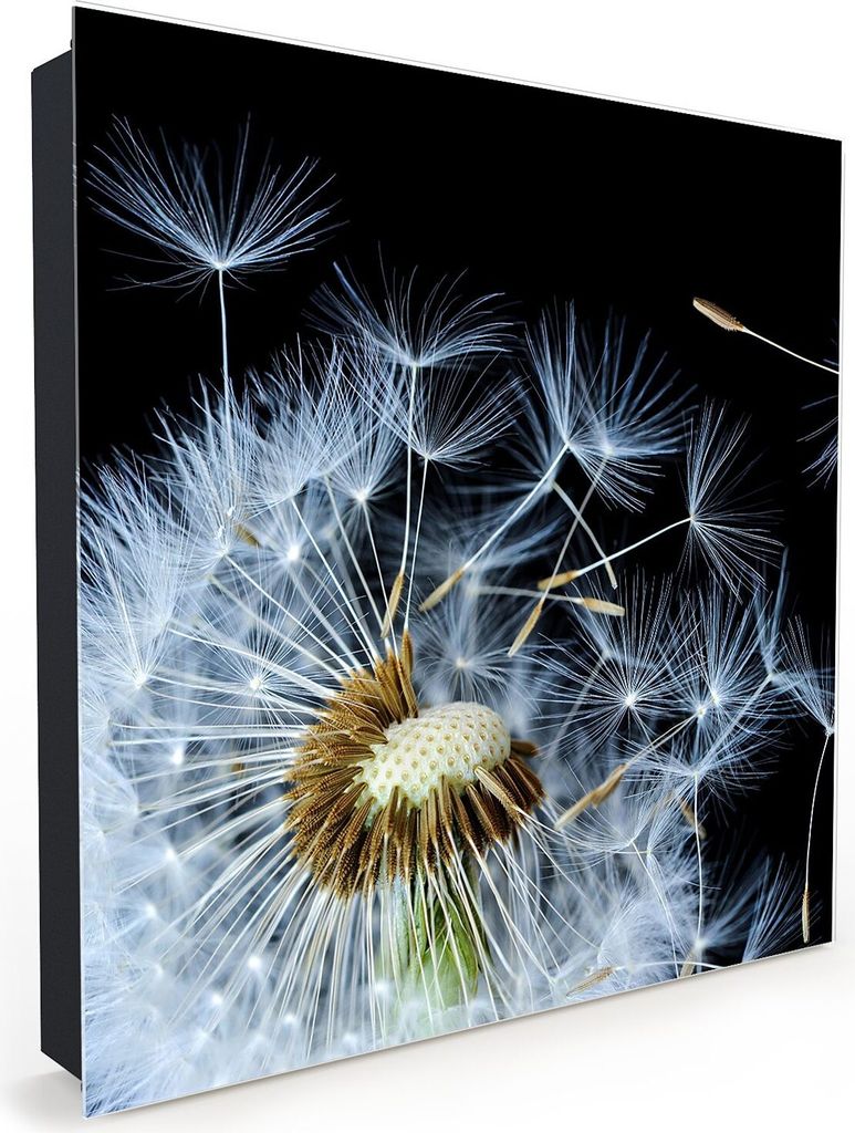 Nachbildung-Schlüsselkasten, Magnetpinnwand und Memoboard mit Glasfront Motiv Löwenzahnfedern