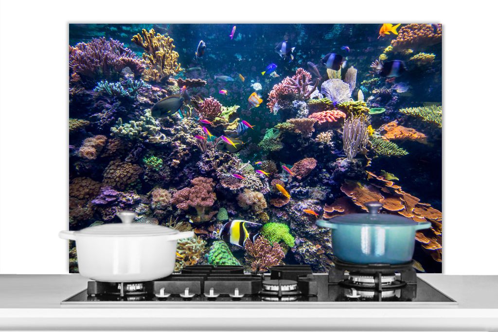 KitchenYeah Spritzschutz Küche - Küchenrückwand - Wandschutz für Herd und Spüle - Bunte Fische schwimmen zwischen all den Korallen 100x65 - ...
