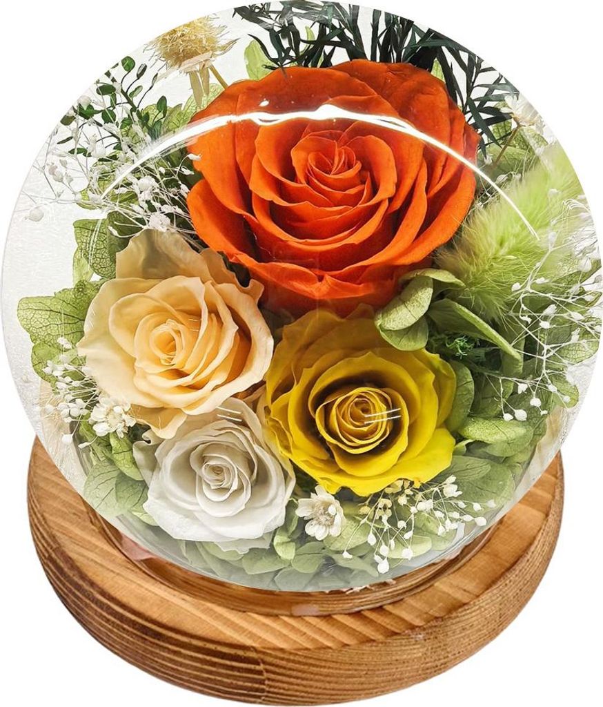 Unvergängliche Rosen in einer Glasglocke mit LED-Beleuchtung, frischer Strauß mit Geschenkbox – das ideale Geschenk für Frauen und Mütter zum...