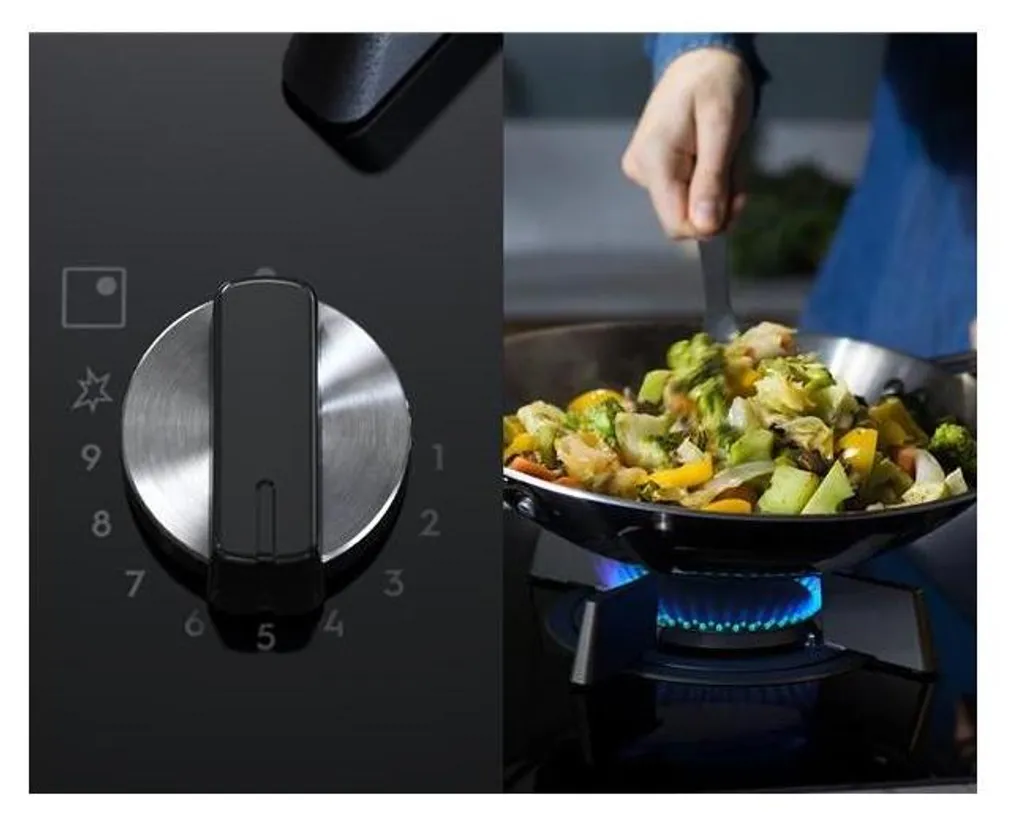 Plat de Cuisson Mixte pour Cuisson Précise Induction et Puissance Gaz