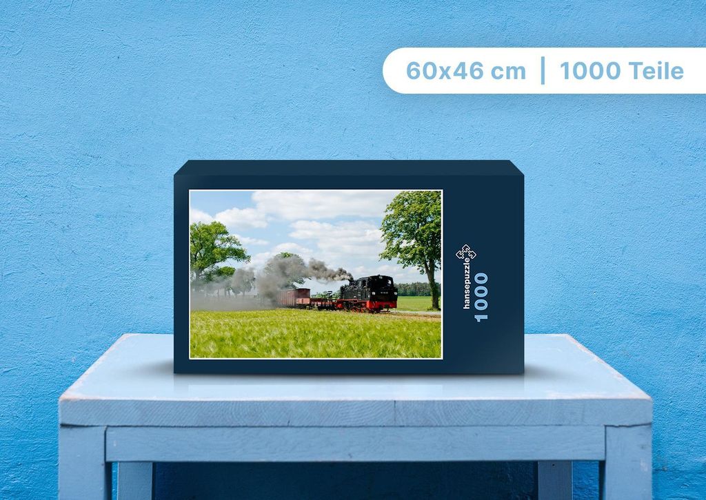 hansepuzzle 109848 - Eisenbahn Puzzle, 1000 Teile, Reisen, 60,0 x 46,0cm mit hochwertiger Aufbewahrung, Kartonbox und wiederverschließbarem Beutel