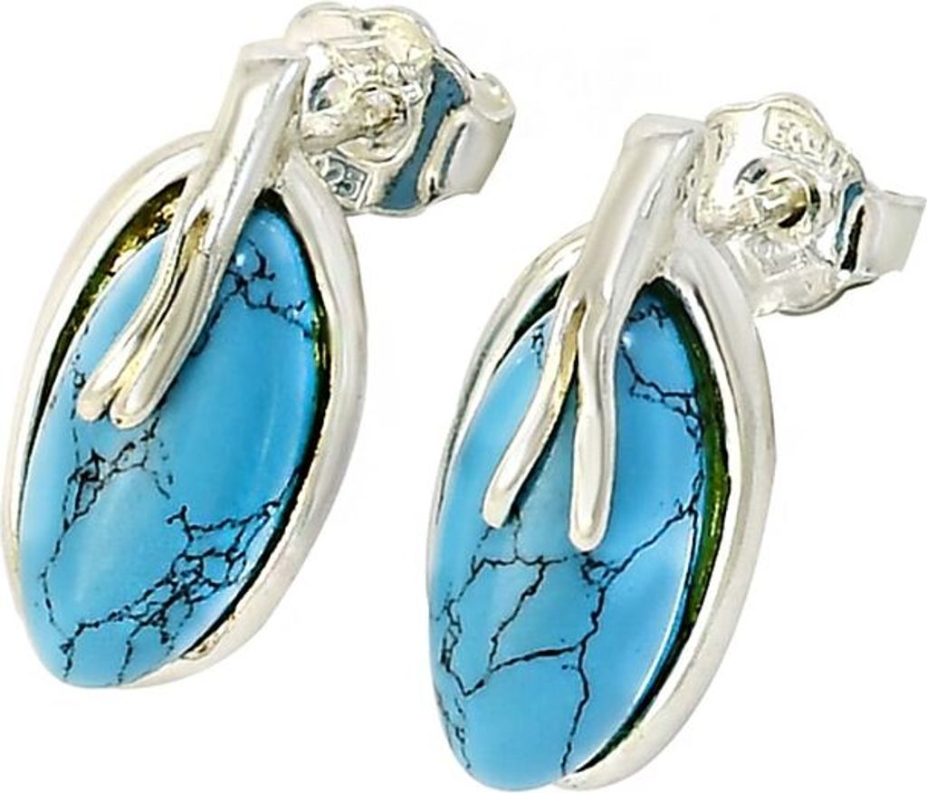 Silberne Ohrringe Glare 702