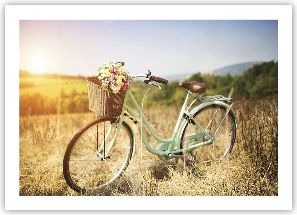 Poster - Poster ohne Rahmen - Fahrrad Wiese Blumen - 70x50 cm - Wand Bild - Wanddeko - Wandbilder - Kunstposter - Wandposter - Bilder - Kunstdruck ...