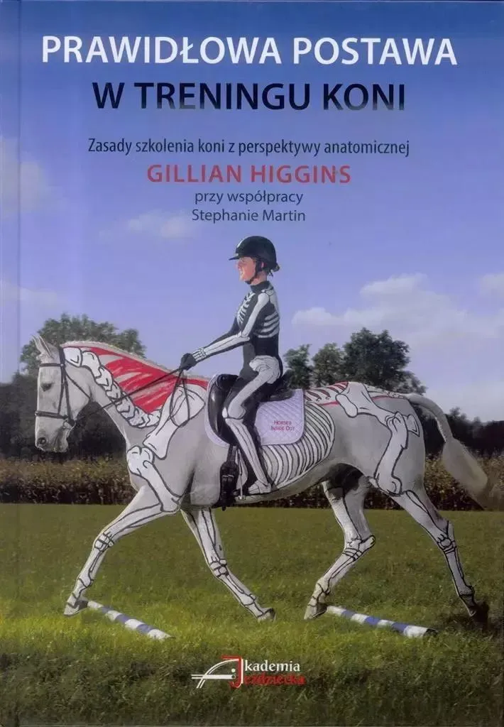 Correcteur de position cavalier pour un meilleur dressage des chevaux