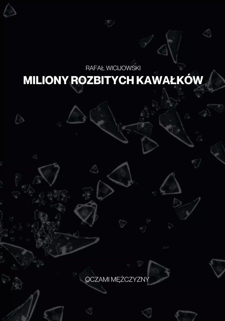 Miliony rozbitych kawałków - Rafał Wicijowski Zdjęcie produktu 