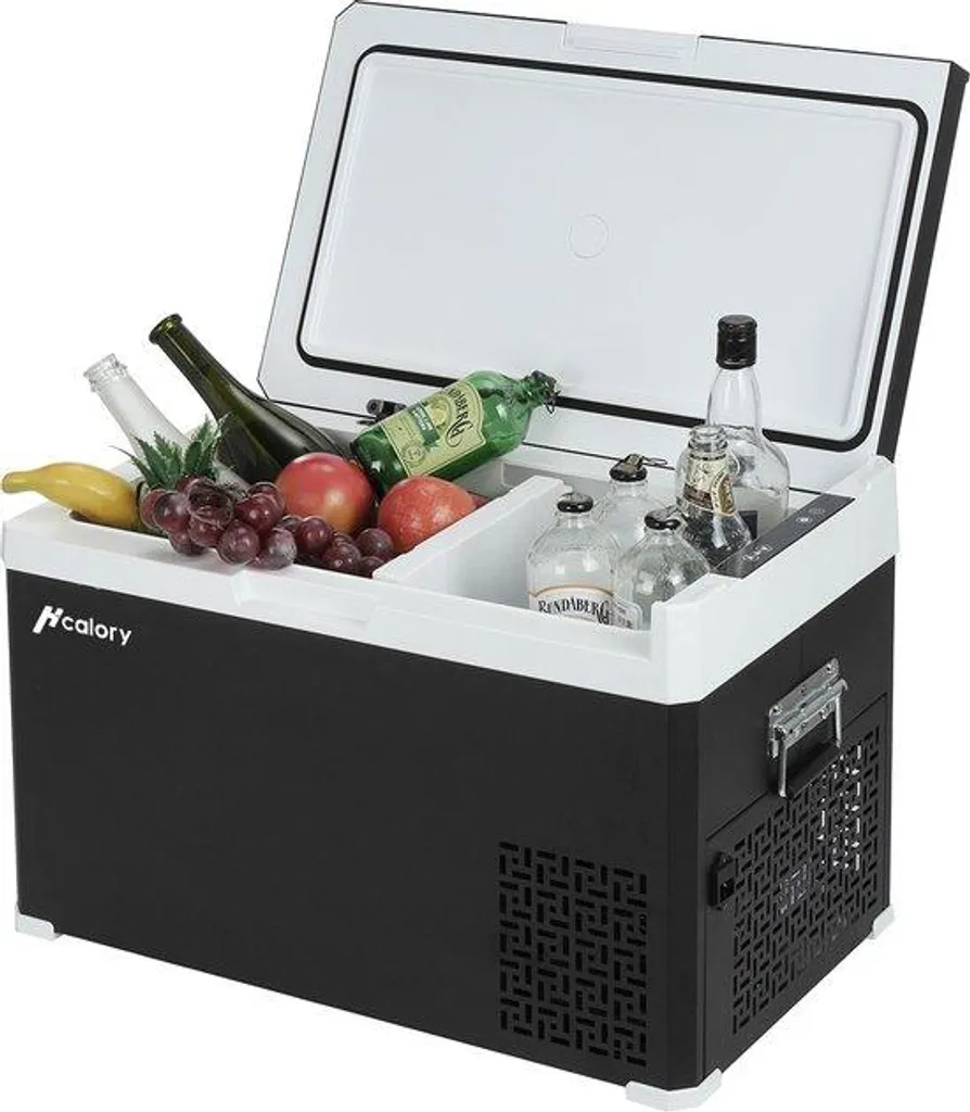 Mini Réfrigérateur 30L 12V 24V Noir et Blanc à Froid Rapide Compresseur