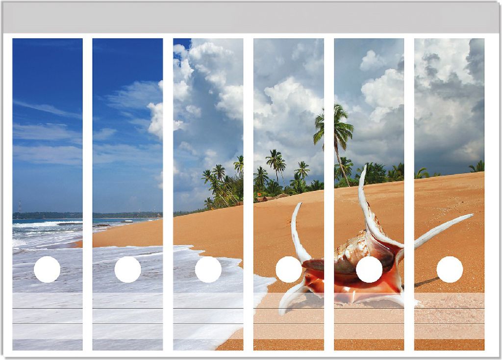 Wallario Ordnerrücken Sticker, selbstklebend für breite Ordner, 6 Stück, Motiv Prächtige Muschel am Strand