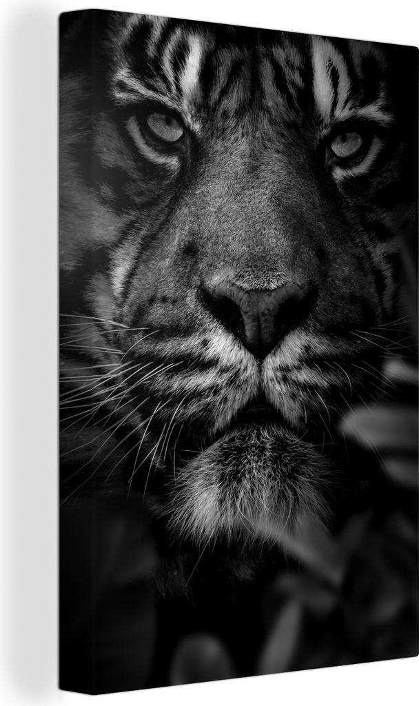 OneMillionCanvasses - Leinwandbilder - 90x140 cm, Nahaufnahme von Blättern und einem Tiger im Dschungel - schwarz und weiß, Wandbilder Kunstdru...