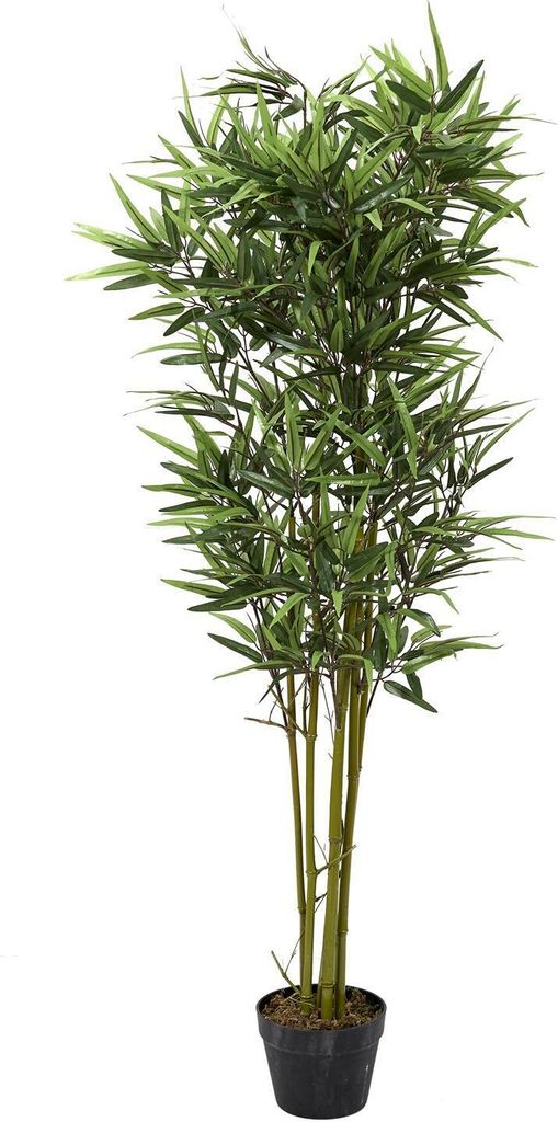 Kunstpflanze Bambus - ø 18 x 135 cm - Phyllostachys - Bambuspflanze - Langlebiger Kunstbaum - Dekorative Pflanze - Grün