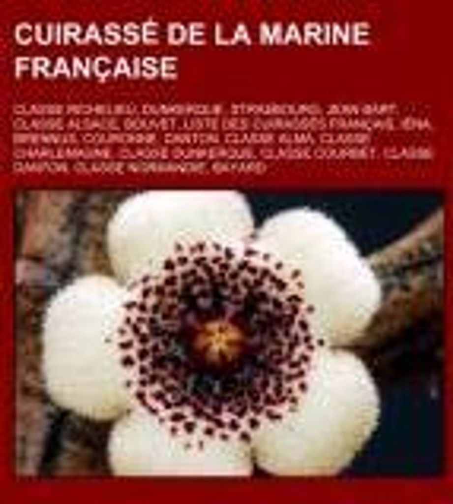 Cuirassé de la marine française