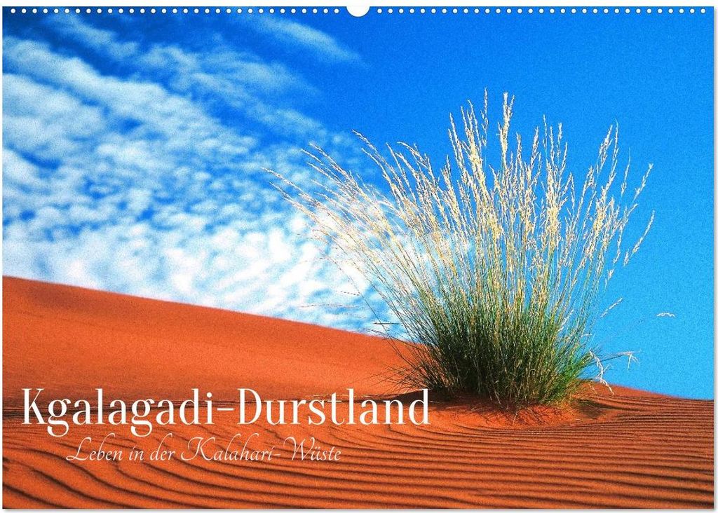 Kgalagadi-Durstland (Wandkalender 2027 DIN A2 quer), CALVENDO Monatskalender
