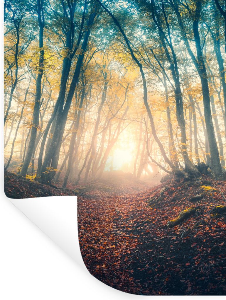 MuchoWow Wandtattoo Wandsticker Wandaufkleber Wald - Nebel - Sonne - Herbst 120x160 cm Selbstklebend und Repositionierbar - Wierderverwendbar - S...