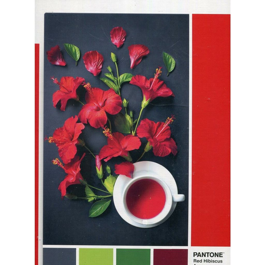 Clementoni 1000Pcs Puzzle Pantone Goji Berry 39494