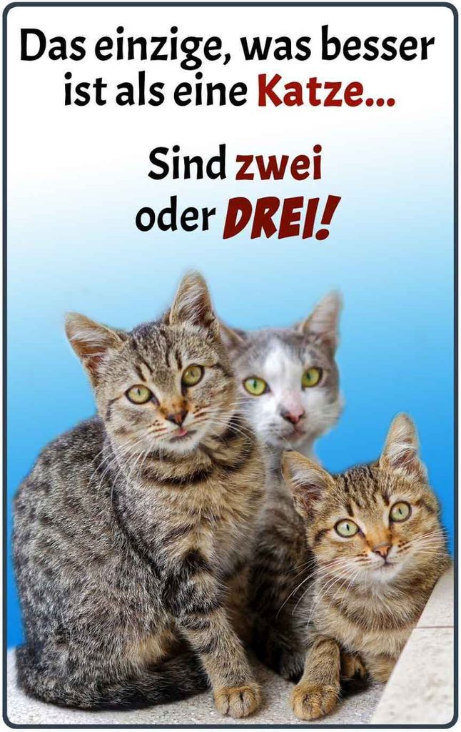 vianmo Holzschild 18x12 cm einzige was besser ist als Katze Tier Haustier