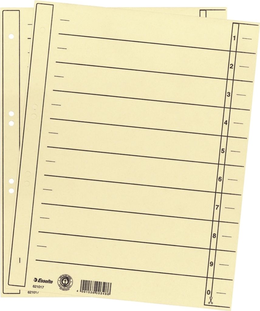Esselte Trennblatt 621017 DIN A4 24x30cm 10/20Taben ch 100 Produktbild 