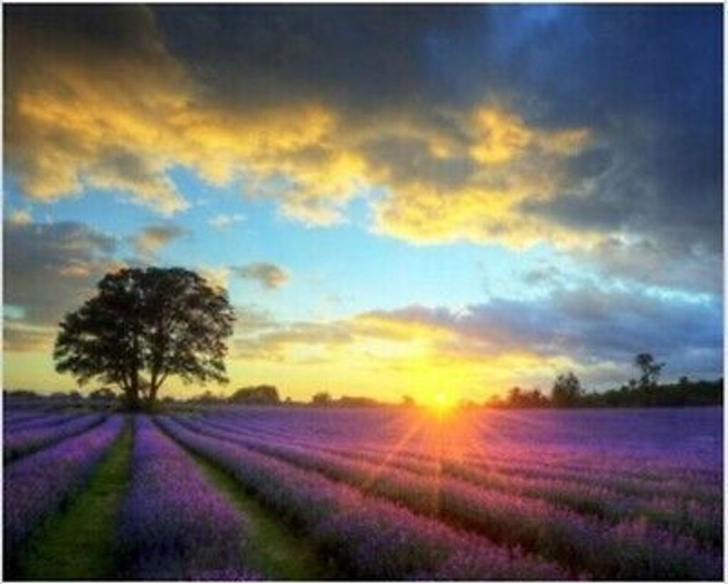 NORIMPEX Kleine Diamantsonne ü ber Lavendelfeld 30x40cm