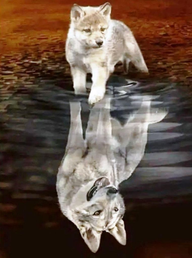 Diamond Painting Vollbild 50x70 cm mit runden Steinen