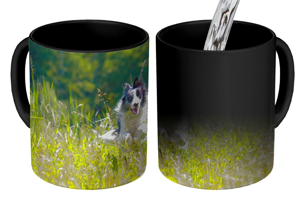 KitchenYeah Zauber Tasse Zaubertasse Magic Ein sprintender Border Collie im hohen grünen Gras 350 ml Farbwechsel Becher Geschenk Geschenkidee - ...