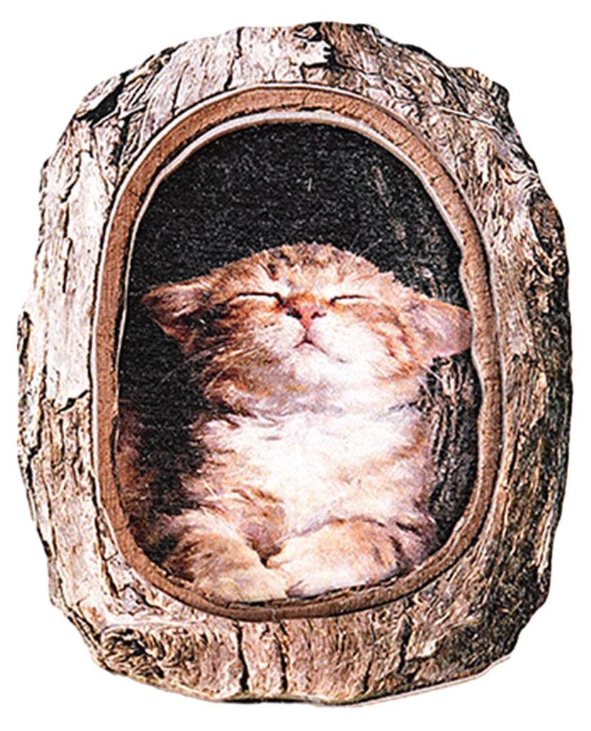 Kühlschrankmagnet mit Baumhöhlen-Tiermotiv, Kühlschrankmagnet aus Holz mit Tiermotiv, Dekoration für Zuhause, Büro, Küche, Schrank, Spind, Wh...