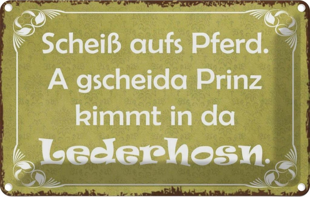 vianmo Blechschild 20x30 cm scheiß aufs Pferd Prinz kimmt Dekoration Spruch Zitat