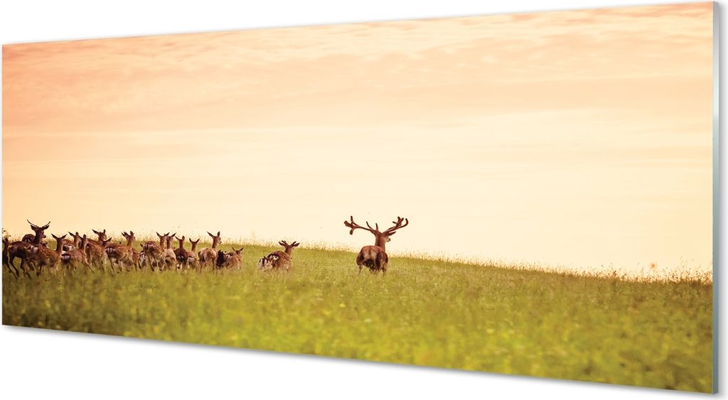 Glasbilder 125x50 Wandkunst Eine Herde von Hirschfeld Sonnenaufgang