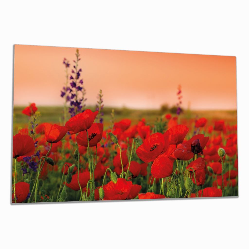 Wallario Herdabdeckplatte aus Glas, Größe 80 x 52 cm 1-teilig, Motiv Mohnblumen auf dem Feld