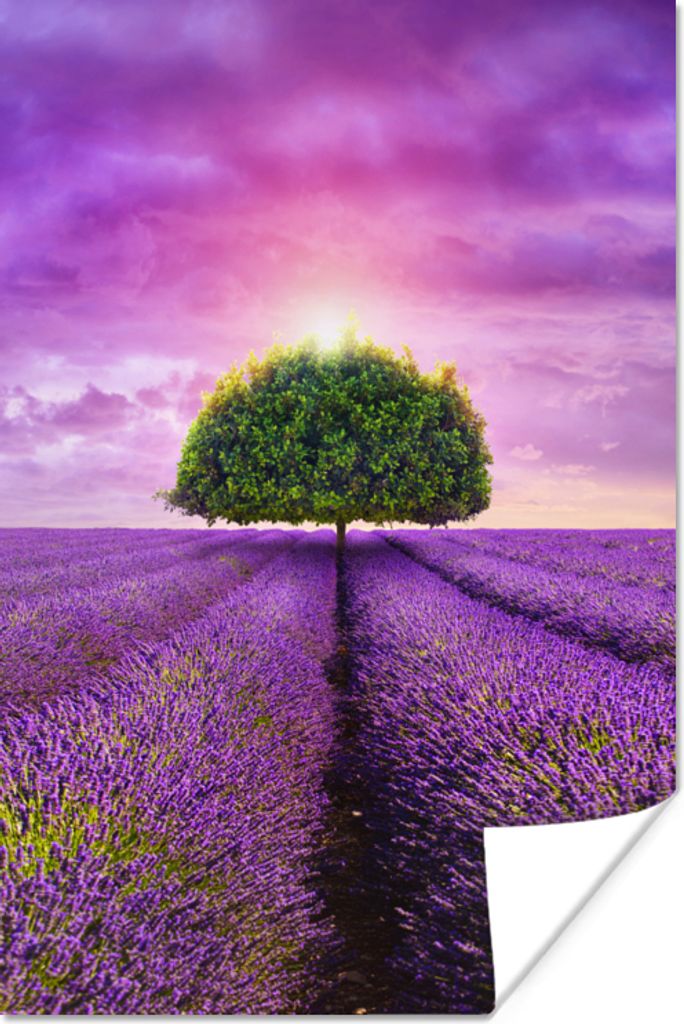 MuchoWow Poster Lavendel - Baum - Lila - Wolken 20x30 cm - Papierdruck