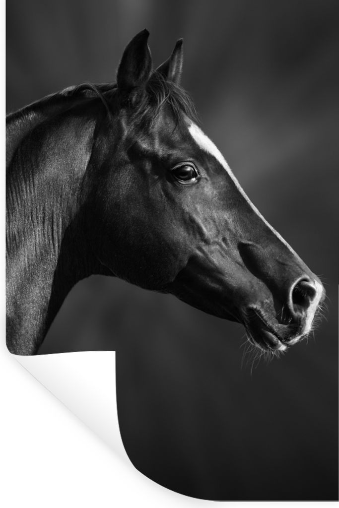 MuchoWow Wandtattoo Wandsticker Wandaufkleber Pferd - Tiere - Schwarz - Weiß - Porträt 80x120 cm Selbstklebend und Repositionierbar - Repositio...