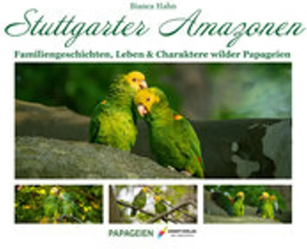 Stuttgarter Amazonen : Statuette de Collection en Résine - Modèle 15cm
