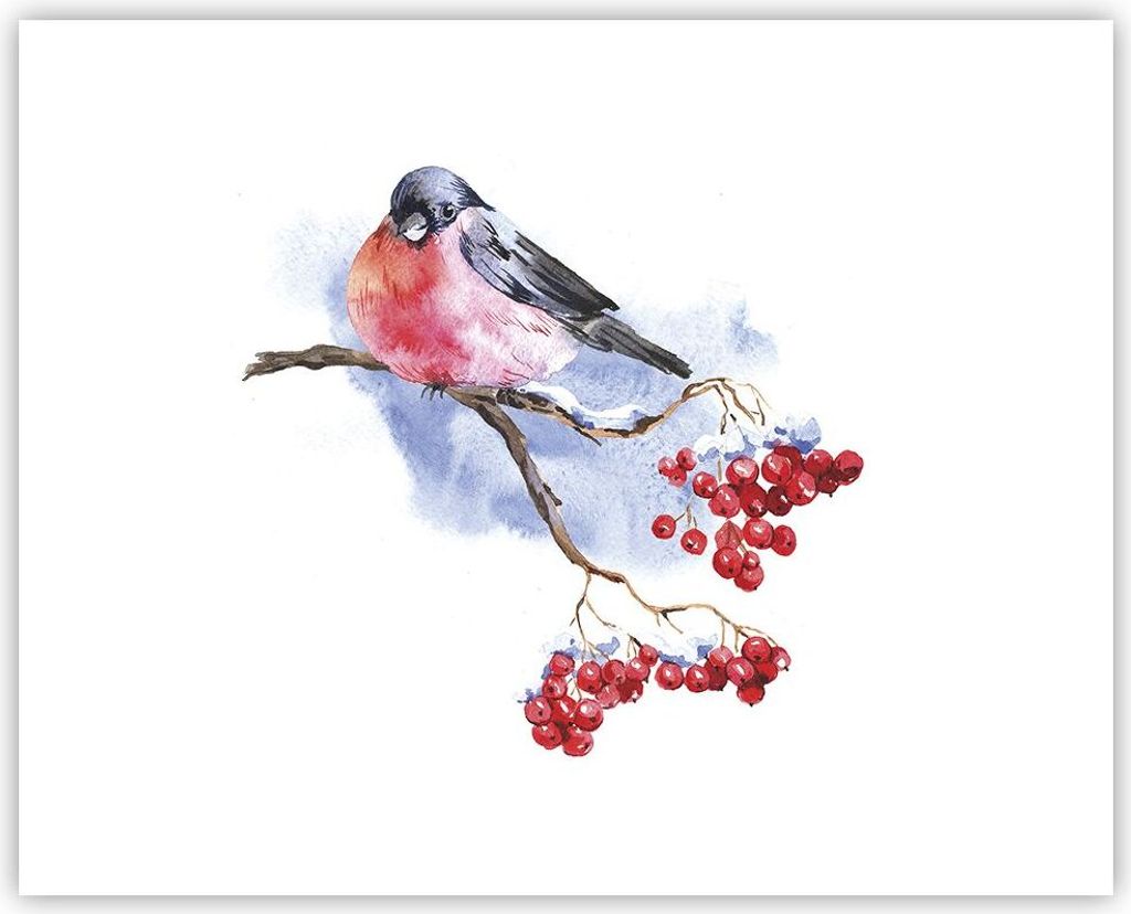 Poster - Poster ohne Rahmen - Dompfaff auf Zweig - 50x40 cm - Wand Bild - Wanddeko - Wandbilder - Kunstposter - Wandposter - Bilder - Kunstdruck - ...