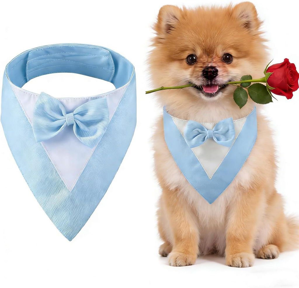 Bandana pour chien - 30 cm - Bleu Image du produit 