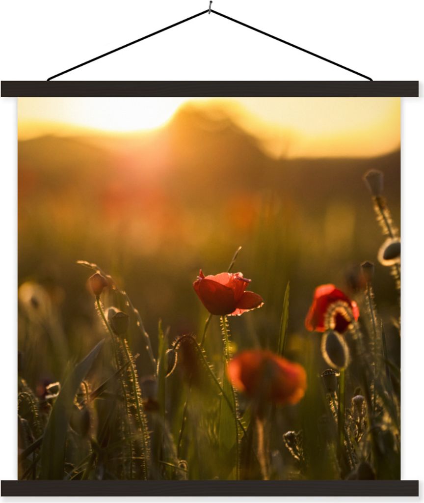 MuchoWow Textilposter Mohn - Sonnenuntergang - Gold 40x40 cm mit schwarzem Rahmen - Fotos