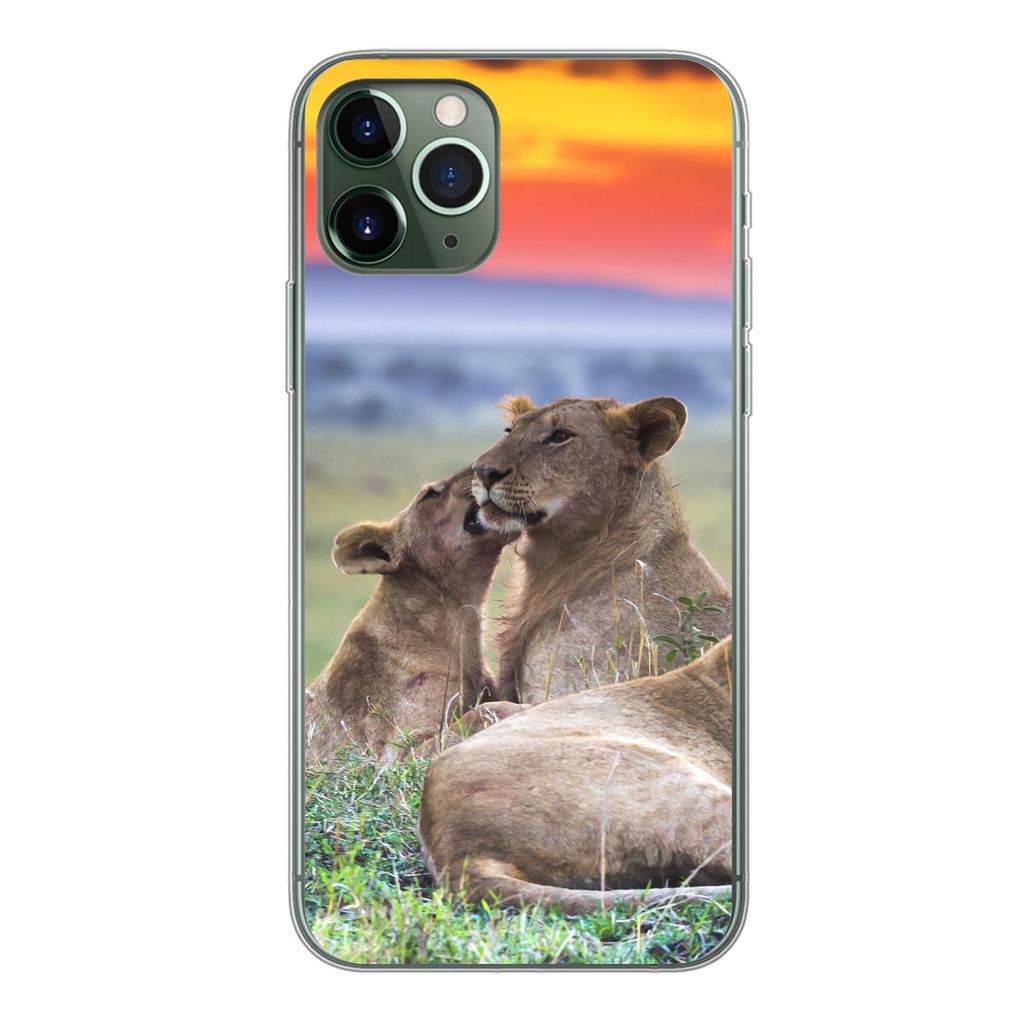 MuchoWow Handyhülle Schutzhülle Hülle für iPhone 11 Pro Löwen bei Sonnenaufgang Silikon Softcase Handy Hülle - Handy