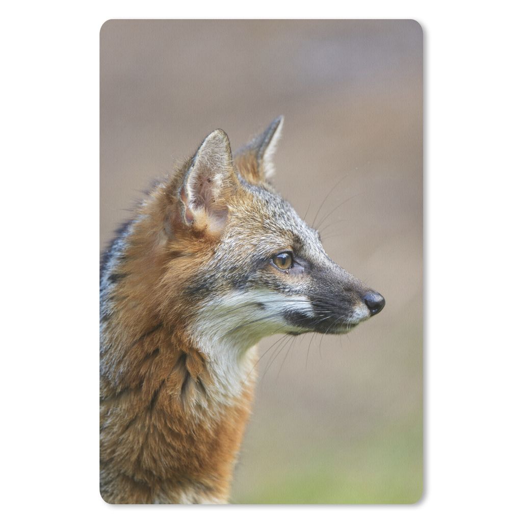 MuchoWow Mauspad Mousepad Fuchs - Makro - Braun 18x27 cm - Mousepads - Maus Mat - Pad - Mausunterlage