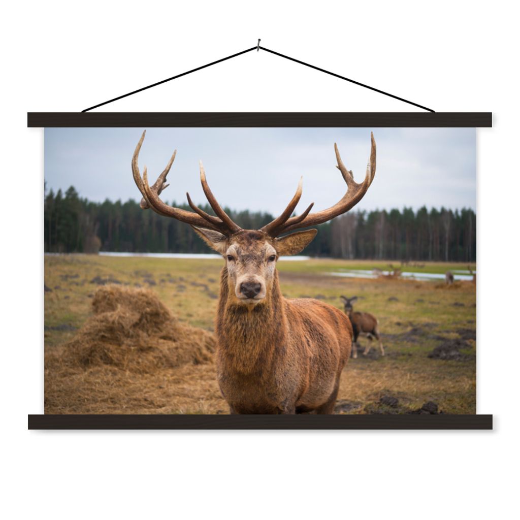 MuchoWow Textilposter Rotwild - Natur - Wiese 120x80 cm mit schwarzem Rahmen - Wanddeko