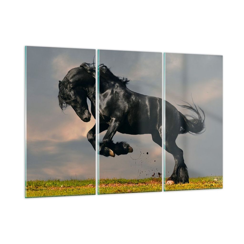Bilder auf glas - Wolke Pferd Wiese Natur - 105x70cm - Glasbilder - Wandbilder - Kunstdruck - zum Aufhängen bereit - Wanddekoration aus Glas - Gla...