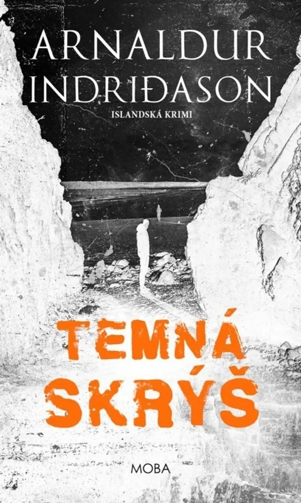 Temná skrýš d'Arnaldur Indridason : Thriller islandais captivant