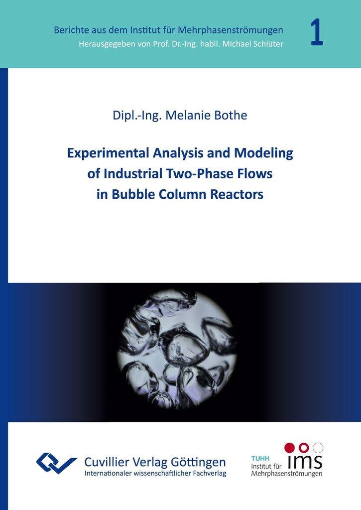 Experimental Analysis and Modeling of Industrial Two-Phase Flows in Bubble Column Reactors