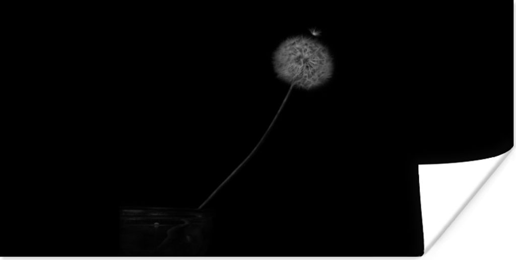 MuchoWow Poster Blumen - Löwenzahn - Samen - Schwarz - Weiß 150x75 cm - ohne Rahmen