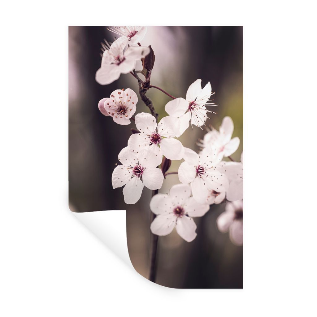 MuchoWow Wandtattoo Wandsticker Wandaufkleber Blumen - Weiß - Natur - Pflanze - Blüte 80x120 cm Selbstklebend und Repositionierbar - Reposition...