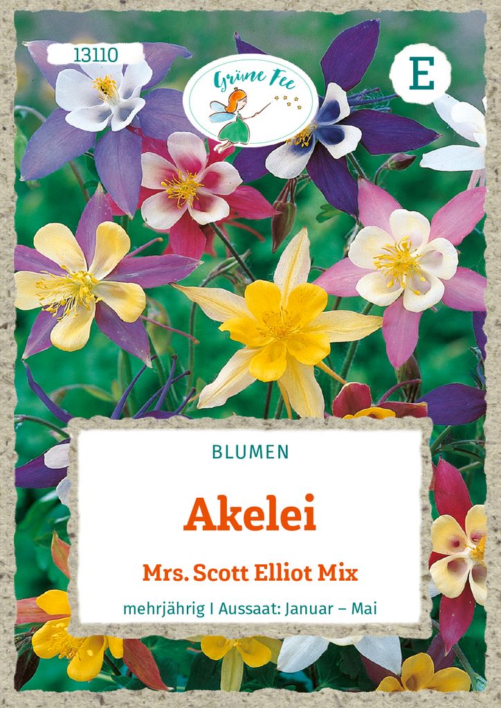 Grüne Fee - Akelei Mrs. Scott Elliot Mix Samen - 13110