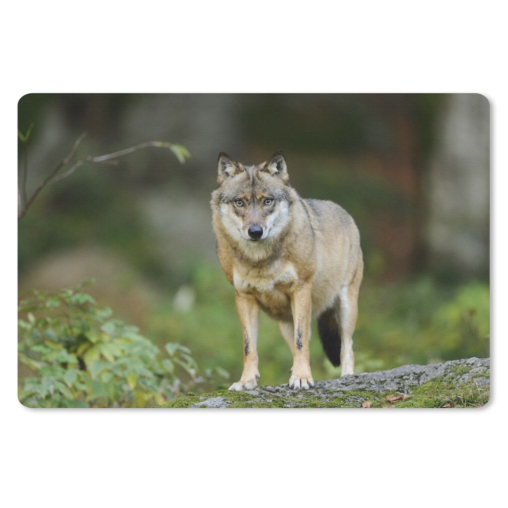 MuchoWow Schreibtischunterlage Wolf - Asien - Pflanzen 60x40 cm - XXL Mauspad - Großes Mauspad