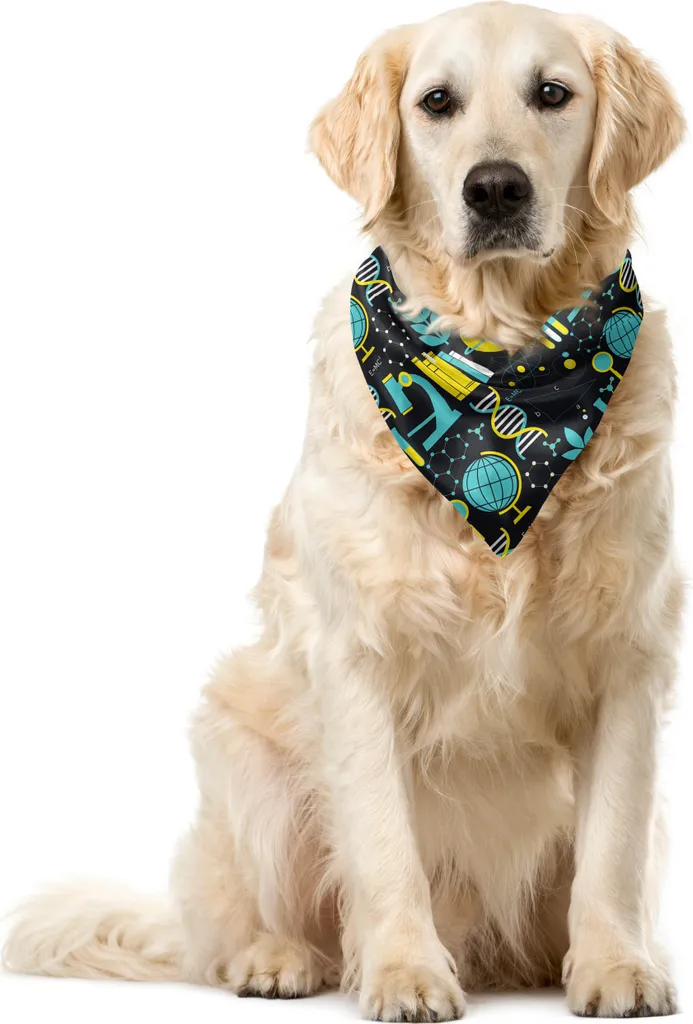 Bandana Cane ABAKUHAUS Motivo Scientifico 40x40 cm Turchese Giallo