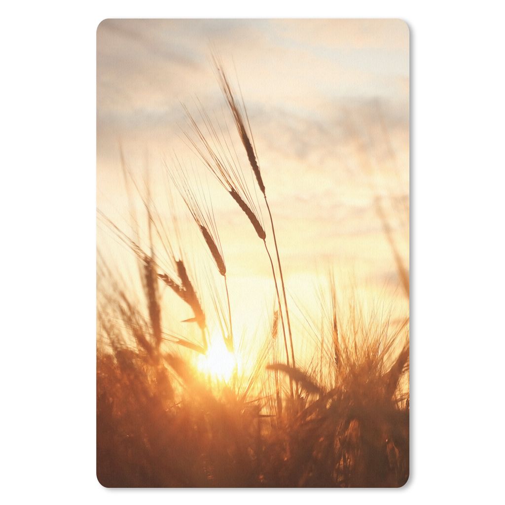 MuchoWow Mauspad Mousepad Schilf - Gras - Sonnenuntergang - Natur - Horizont 40x60 cm - Mousepads - Maus Mat - Pad - Mausunterlage - Schreibtisch...