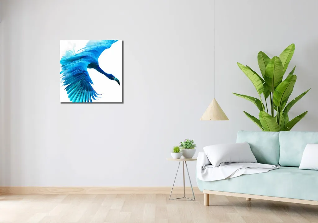 Image Avion Bleu Grand Format 60x60 cm - Impression Haute Qualité Matte