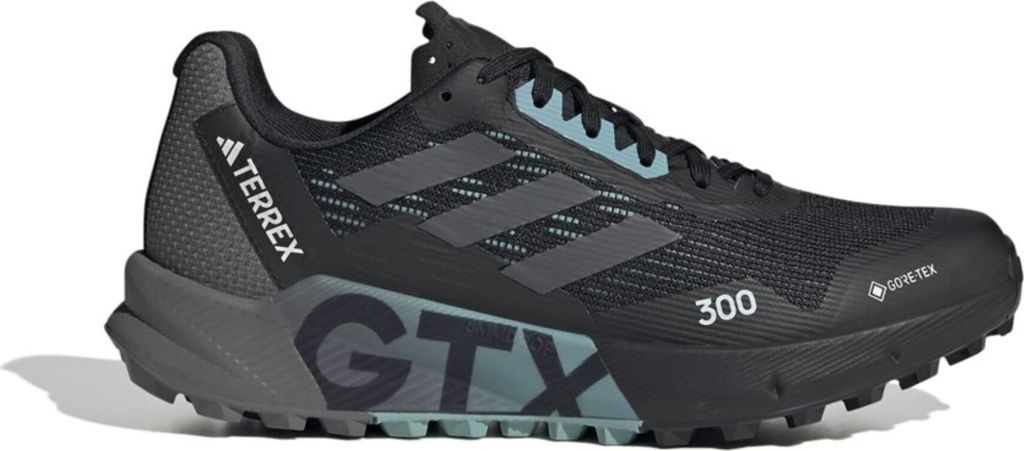 Schuhe Adidas Terrex Agravic Flow 2.0 Gtx HR1145