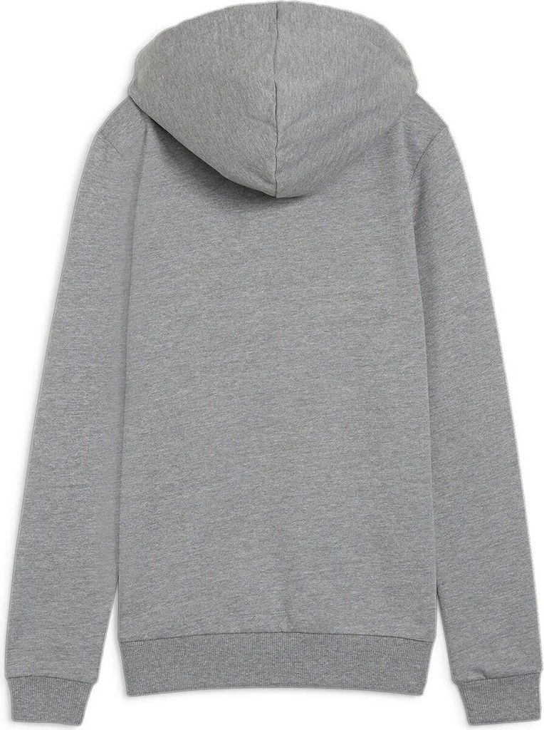 Puma Teamgoal Kapuzenpullover Damen - Hellgrau Meliert