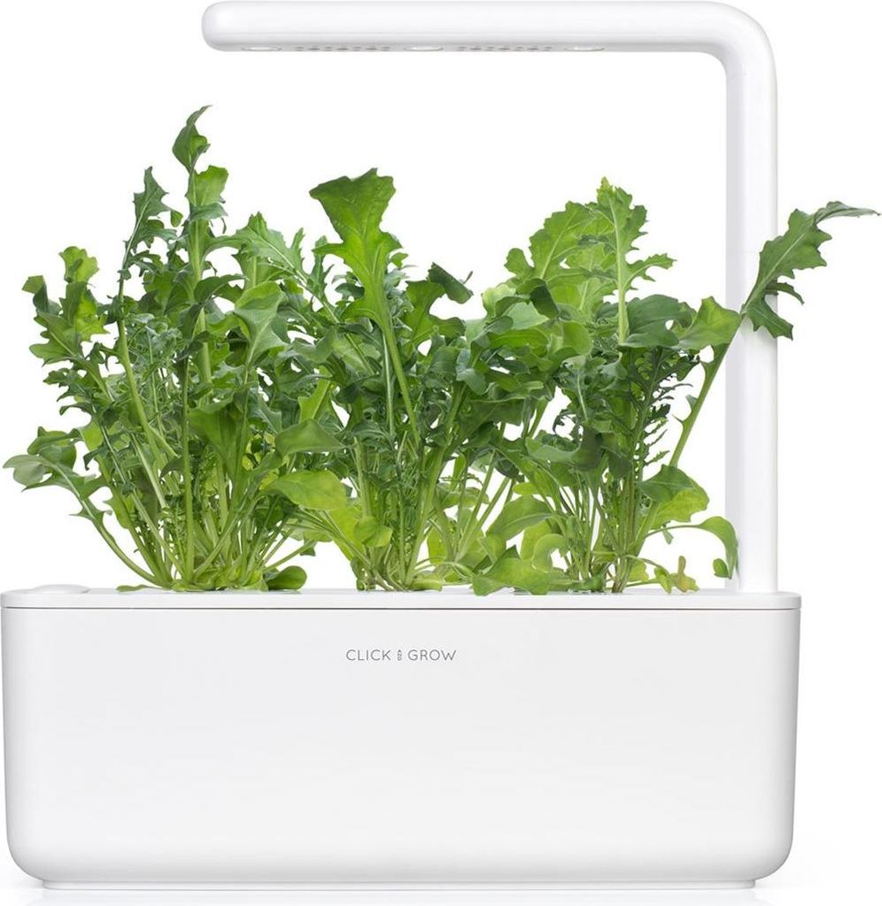 Click and Grow Rucola, Kapseln mit Samen und Substrat 3Stk